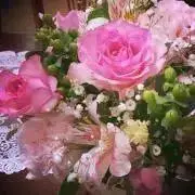 れいか☆の画像