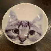 SASA