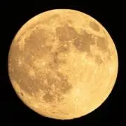 BOOPHOO（必ずプロフお読み下さい）の画像