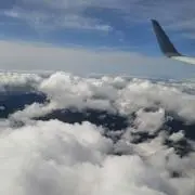 pan