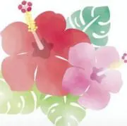 R★Nの画像