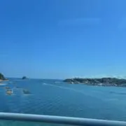 alinnneの画像