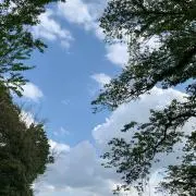 menghuaの画像