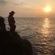y-takeの画像