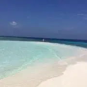 ピー    ※プロフ確認お願いしますの画像