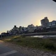 クゥーの画像