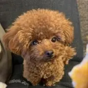 さちの画像