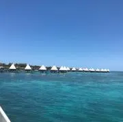 プロフィール必読お願いいたします☺︎の画像