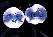 ゆき