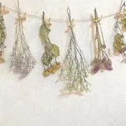 kahoの画像