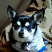 あくあ