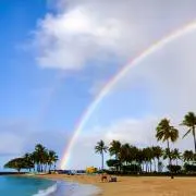Rainbow2の画像