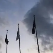 ymの画像