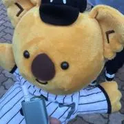 ꒰ᐢɞ̴̶̷ ·̫ ɞ̴̶̷ᐢ꒱の画像