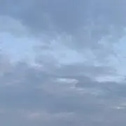 ゲバラの画像