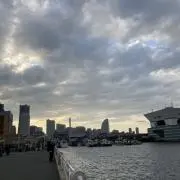 Image of トニーアルメイダ