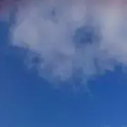 たぴ