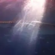 nniiの画像