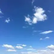 エルフの画像