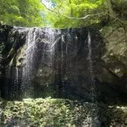 もかもかの画像