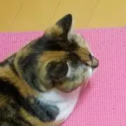 あむの画像