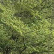 0の画像