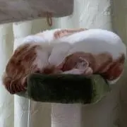 まぐキキの画像