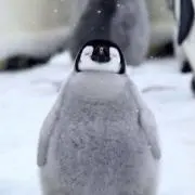 yuuの画像