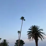 ^_−☆の画像