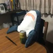 ヌメラーの画像