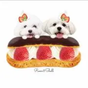 ♡maa♡の画像
