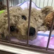 Moonの画像