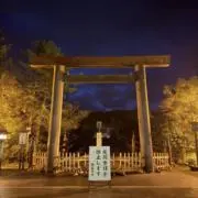 トミーの画像