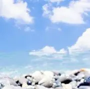 断捨離中です。の画像