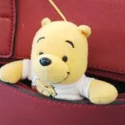 ふーちゃんの画像