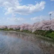 あんこ