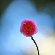 まる