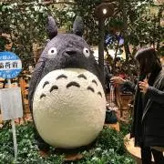 トトロ☺︎の画像