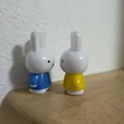 さーちゃんの画像