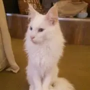JUDY♪の画像