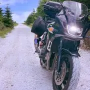 もっちーの画像