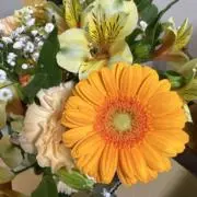 おかやすの画像