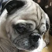 しょーちゃん