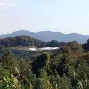 カイの画像