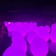 あの画像