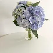 ameの画像