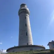 ヒーロの画像