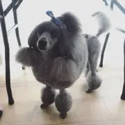 美品 マックスマーラ ロングドレス カシュクール ウエストリボン 白