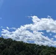 ７ちこきぱいねう１べ