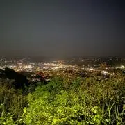 りーの画像